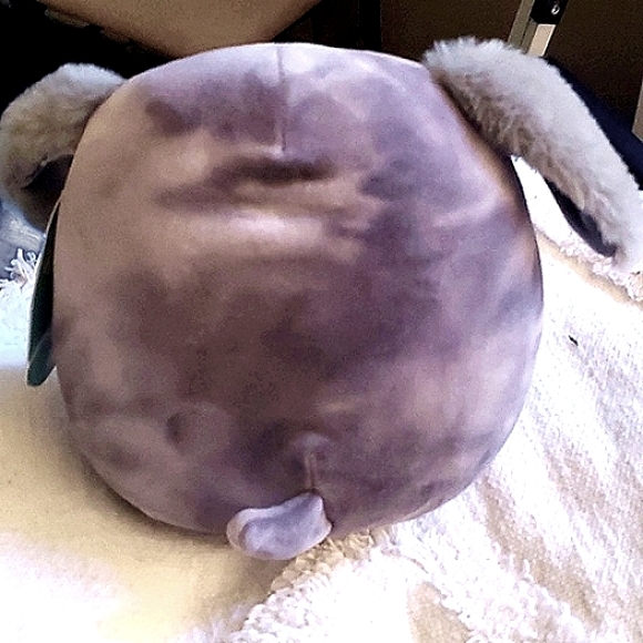 Squishmallow Gustavos - Picture 4 of 8